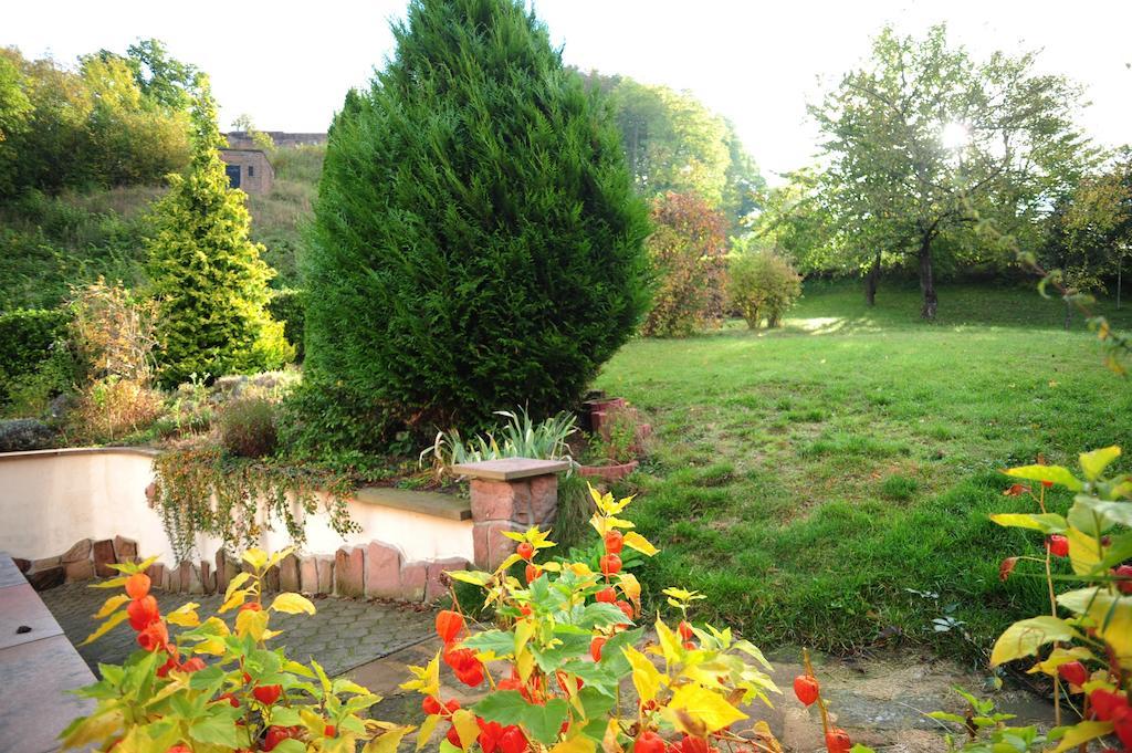 Au Pied Du Chateau Lichtenberg Oda fotoğraf
